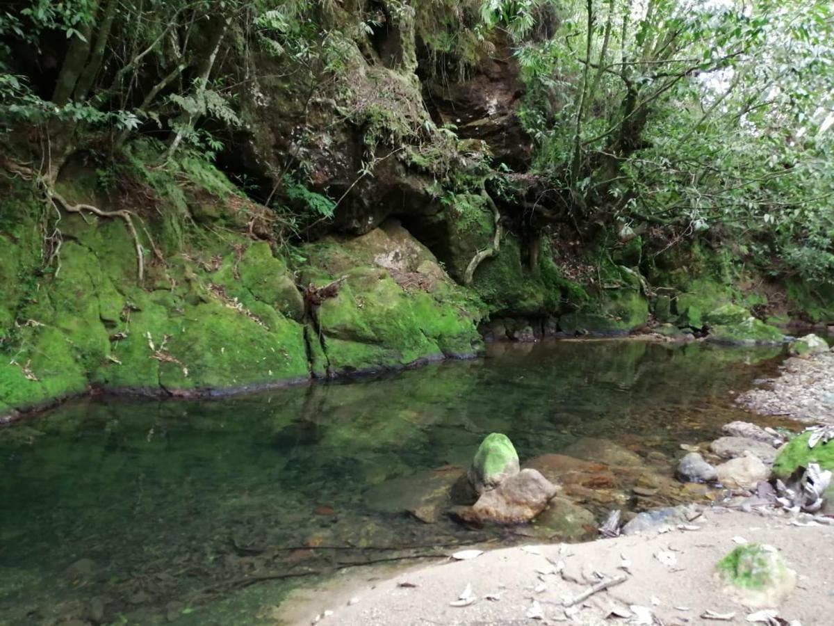 Chalet El Salto 2 Tzicuilan