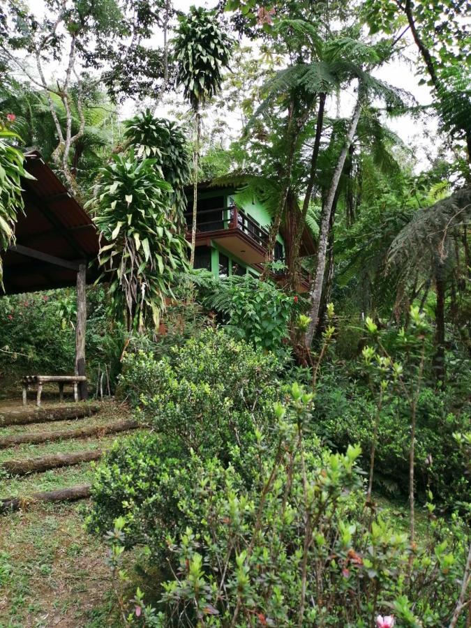 Chalet El Salto 2 *